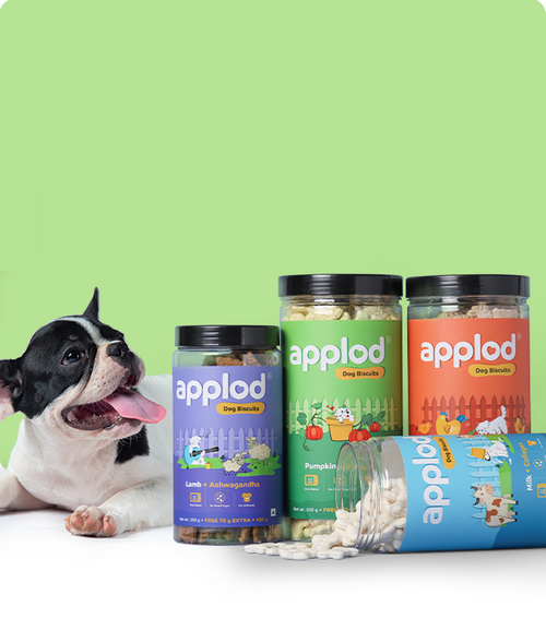 files/Dog-Biscuits_650X765_84822a8d-3766-44f8-8b88-1331a7c97375.png