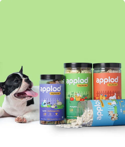 files/Dog-Biscuits_650X765_e97b435f-0fd9-4479-a786-c057c6a0df25.png
