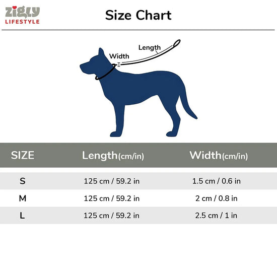 ZL Doodle Dog Leash - Blue