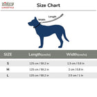 ZL Doodle Dog Leash - Blue