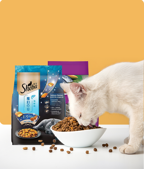 files/Dry-food_650X765_711815cd-afb7-4d43-b314-306eac5902ea.png