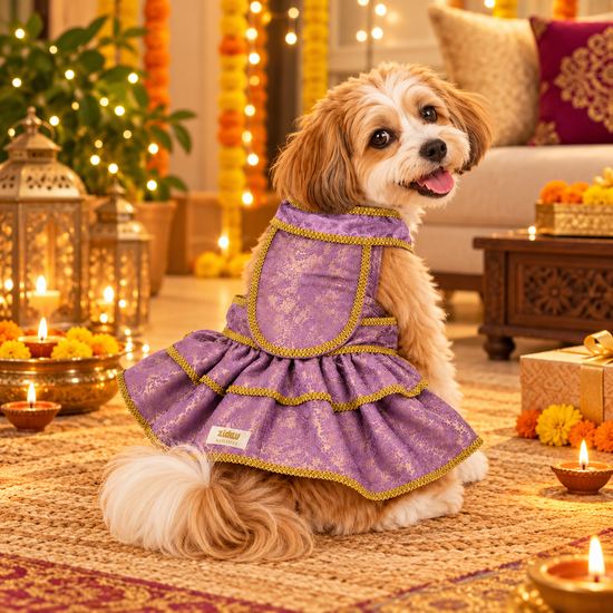 ZL Mauve Brocade Lehenga for Dogs
