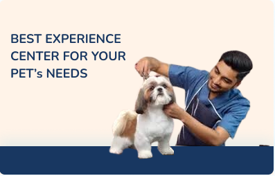 Person grooming a dog with text about a pet care center on a beige background