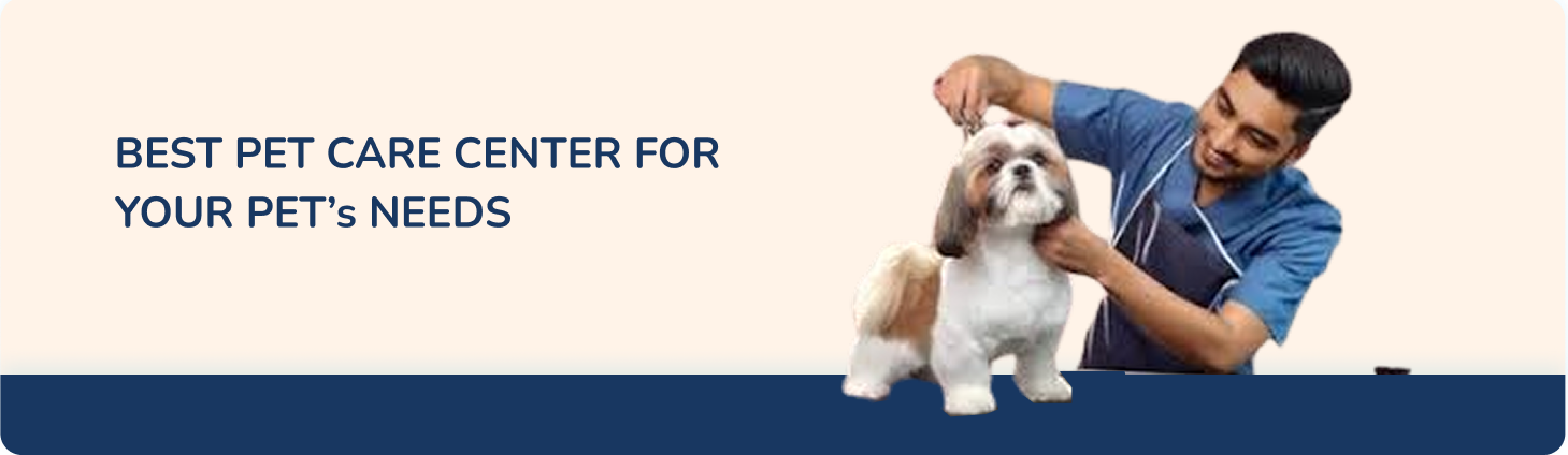 Veterinarian examining a small dog with text about a pet care center.