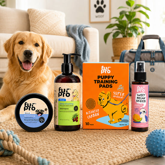 Furpro Complete Care Combo for Dogs
