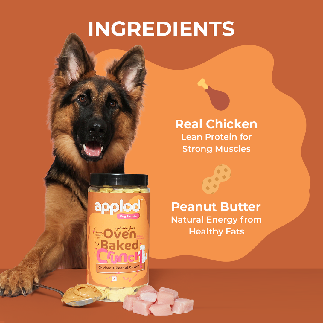 Applod Crunch-a-Licious Gluten Free Chicken and Peanut Butter Dog Biscuits - 800g