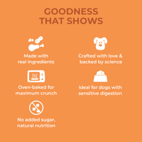 Applod Crunch-a-Licious Gluten Free Chicken and Peanut Butter Dog Biscuits - 800g