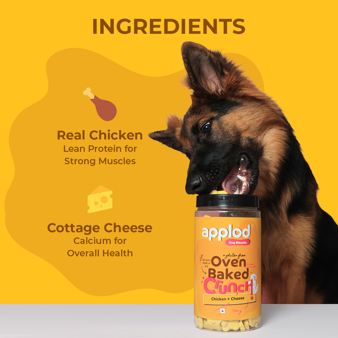 Applod Crunch-a-Licious Gluten Free Chicken & Cheese Dog Biscuits - 800g
