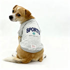 Small dog wearing gray sports sweater with New York City text and zigly logo on white background