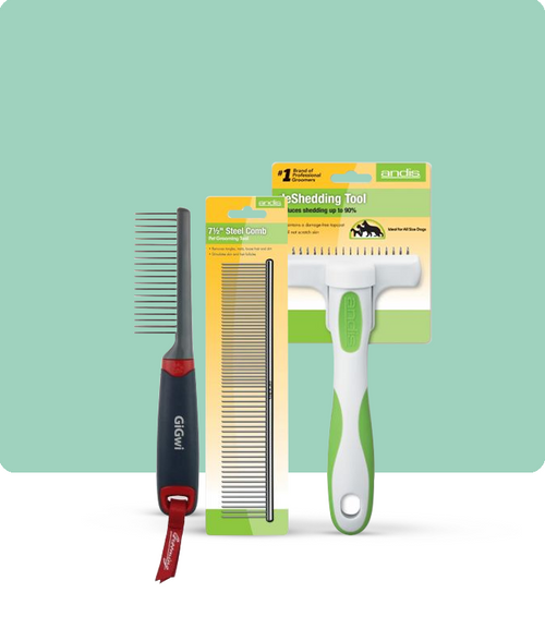files/Grooming_Tools_650X765_50aacb07-0690-4b36-8984-4adb70770f16.png