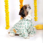 Cute Shih Tzu dog in green leaf-print outfit by zigly, festive marigold garlands background