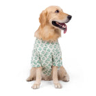 Golden retriever dog wearing green printed shirt, zigly, on white background