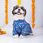 zigly shih tzu dog in blue floral kurta with marigold garlands, festive pet outfit