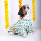 Shih Tzu dog in green leaf print shirt by zigly, festive marigold decor background.