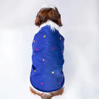 Dog in blue Zigly embroidered pet jacket with colorful dots, sitting against white background