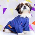 Shih Tzu dog wearing Zigly blue embroidered shirt, sitting indoors with colorful decor.