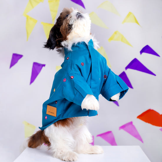 furries-mirror-work-teal-blue-kurta-for-dogs