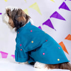 Shih Tzu dog in blue embroidered Zigly pet outfit, colorful festive background