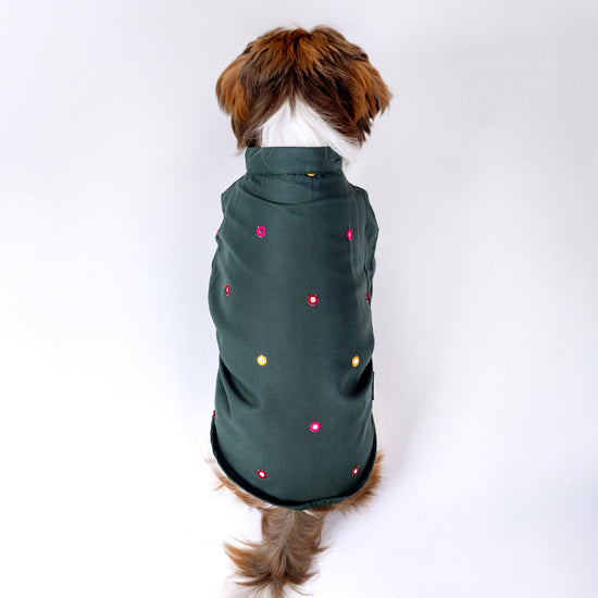 furries-mirror-work-green-kurta-for-dogs