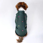Dog wearing a zigly dark green embroidered pet jacket with colorful dots, back view