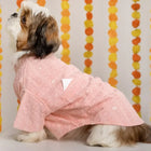 Shih Tzu in pink ethnic dog kurta with zigly, festive background with marigold garlands