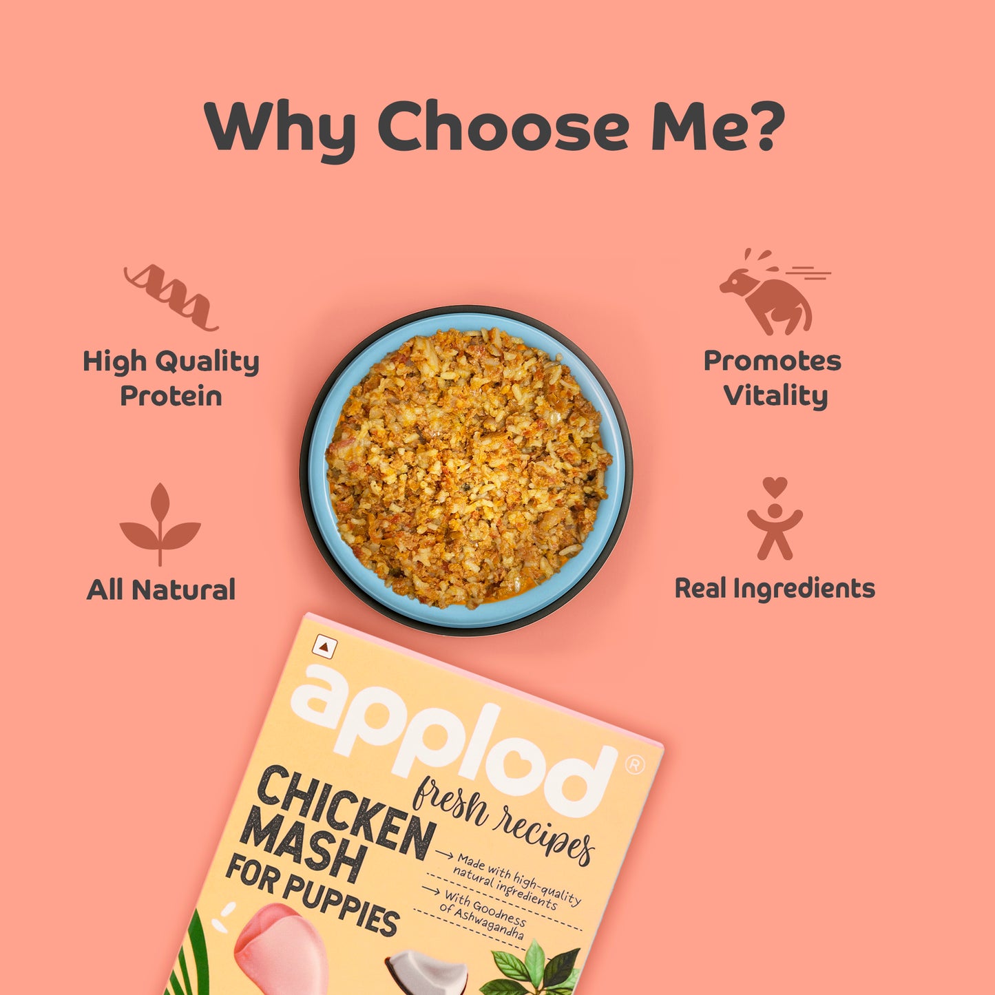 Applod Chicken Mash For Puppies Fresh Dog Food