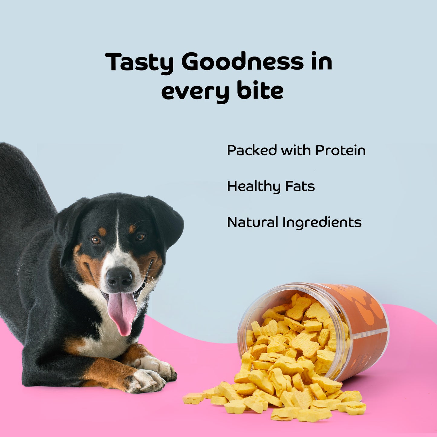 Applod Crunch-a-Licious Gluten Free Chicken and Peanut Butter Dog Biscuits - 800g