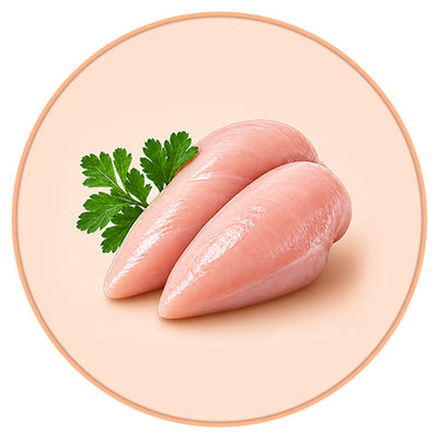 Real Chicken