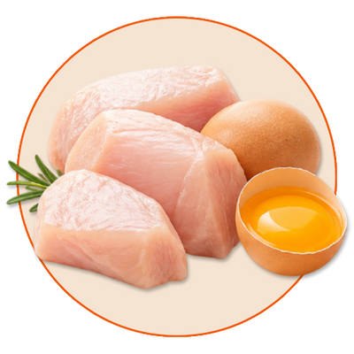 Chicken & Eggs