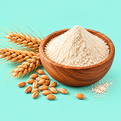 Wheat Protein