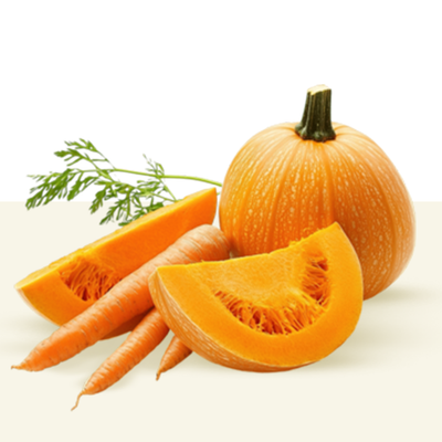 Pumpkin & Carrot