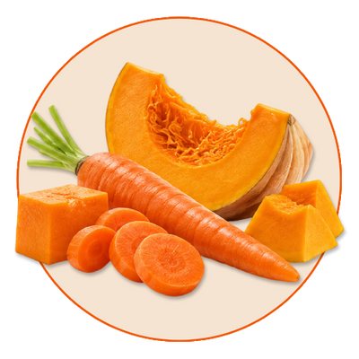 Pumpkin & Carrot
