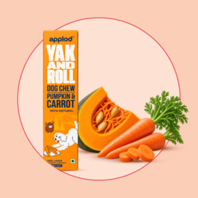 Pumpkin & Carrot