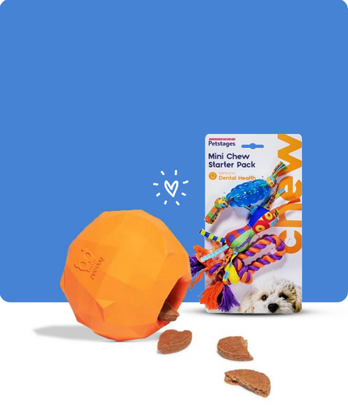 files/Interactive-Toys_650X765_7ab5f06e-7f15-4497-b5db-4bf9bbbf2032.png
