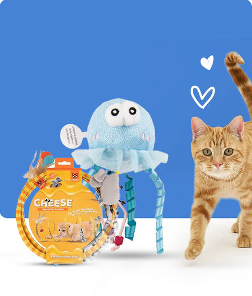 files/Interactive-Toys_650X765_8606a493-719b-4959-9857-cc7b086c6e70.png