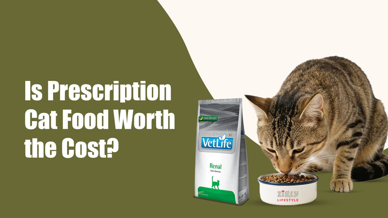 banner--desktop-img