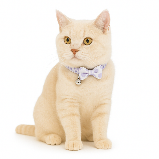 ZL Lilac Dot Bell & Bow Cat Collar