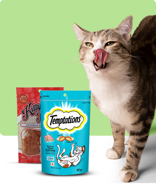 files/Meaty-Treats_650X765_29b8bba3-75c7-402b-8461-2bd01cc689e1.png