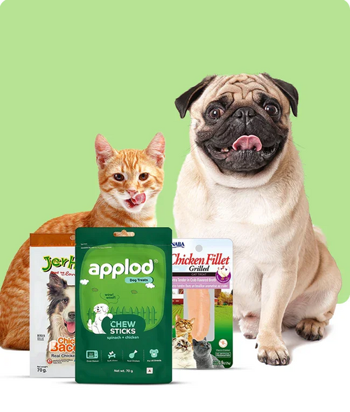 files/Meaty-Treats_650X765_bd108faa-1f52-489f-b85d-605838cbe39f.png
