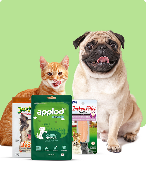 files/Meaty-Treats_650X765_bd108faa-1f52-489f-b85d-605838cbe39f.png