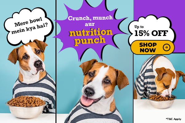 Dog in a striped shirt with a bowl of kibble, surrounded by promotional text and graphics.