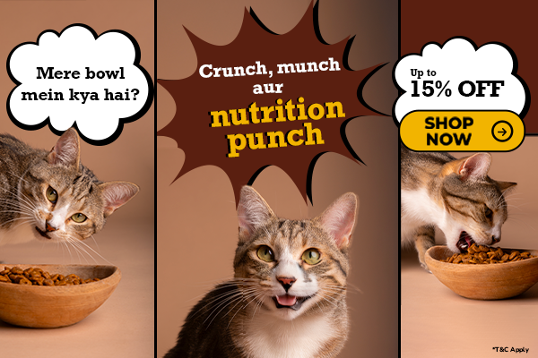 Cat advertisement with text about cat food and a discount offer.