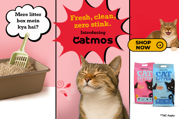 Advertisement for Catmos cat litter with a cat, litter box, and packaging on a pink background.