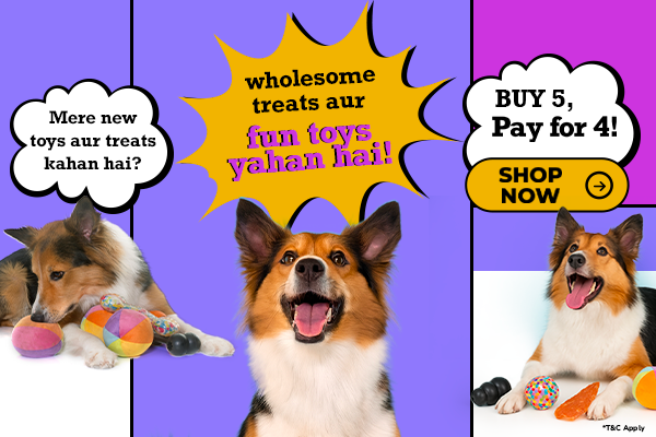 Promotional advertisement for dog toys with a purple background and text.
