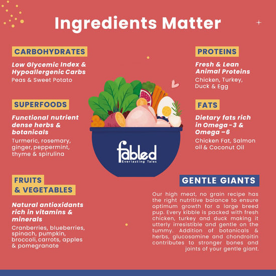 fabled-gentle-giant-with-fresh-chicken-turkey-duck-dry-dog-food-large-breed-puppy-2kg