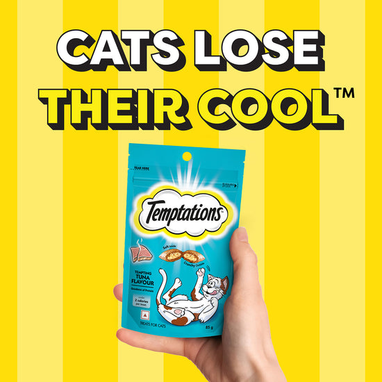 Temptations Tempting Tuna Flavour Cat Treat - 85g (Pack Of 12)