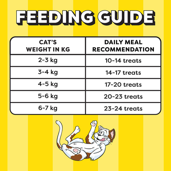 Temptations Tempting Tuna Flavour Cat Treat - 85g (Pack Of 12)