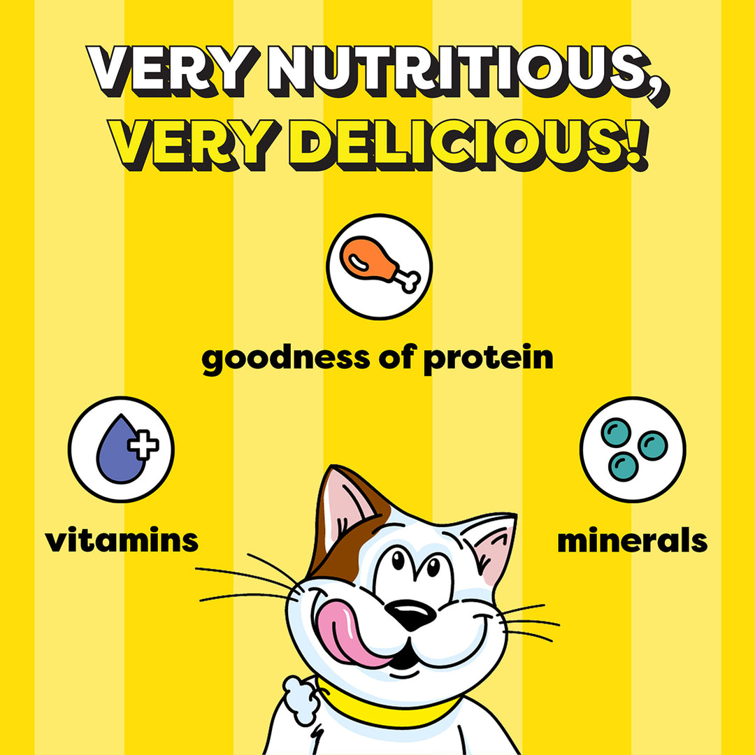 Temptations Tempting Tuna Flavour Cat Treat - 85g (Pack Of 12)