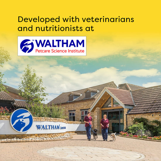 Temptations Tempting Tuna Flavour Cat Treat - 85g (Pack Of 12)