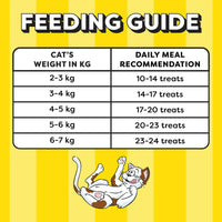 Temptations Savoury Salmon Flavour Cat Treat - 85g (Pack Of 12)